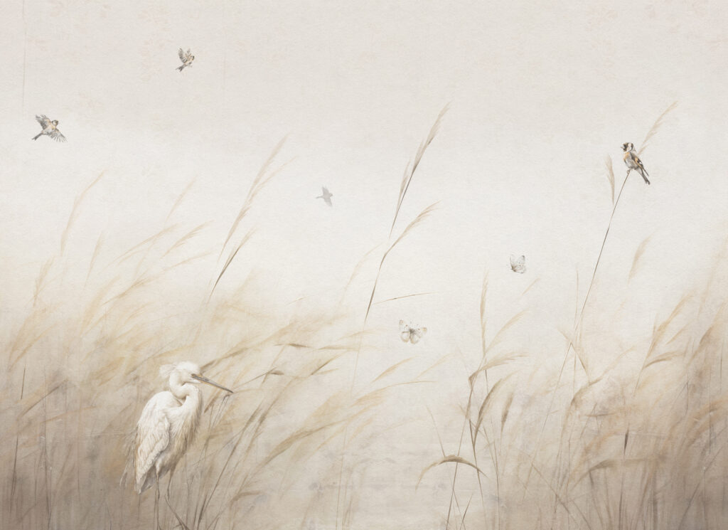 A bird in a field of grass