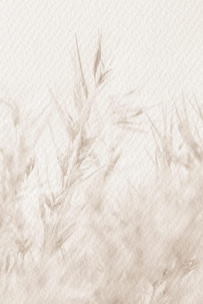 Soft nature in neutral tones Soft nature in neutral tones