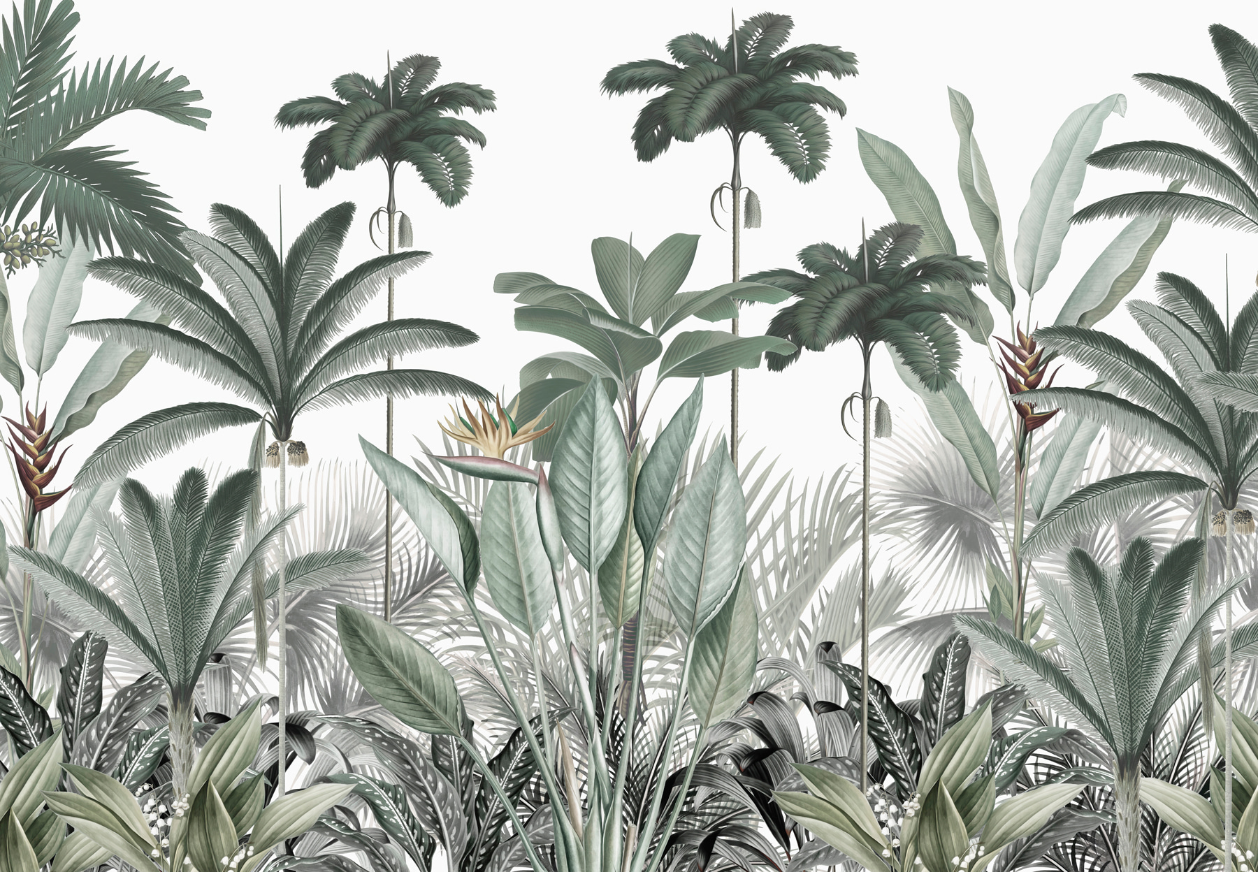 A group of plants with flowers A group of plants with flowers