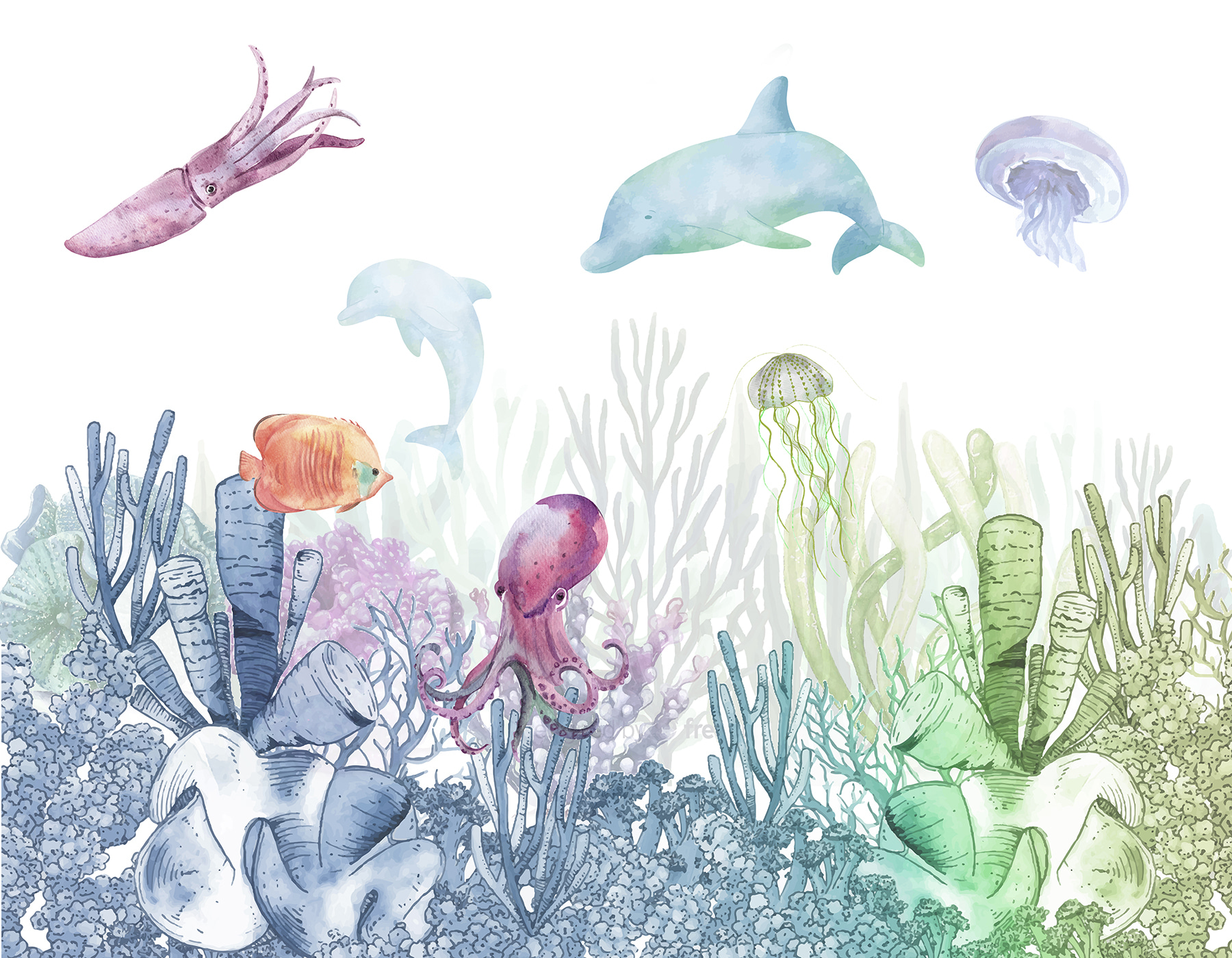A watercolor of a sea life A watercolor of a sea life