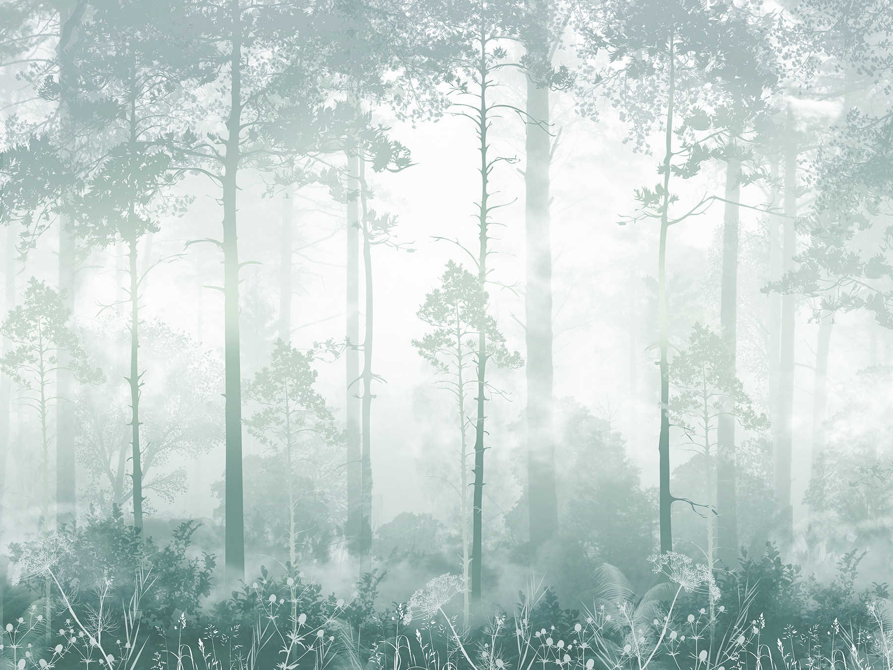 A foggy forest with tall trees A foggy forest with tall trees