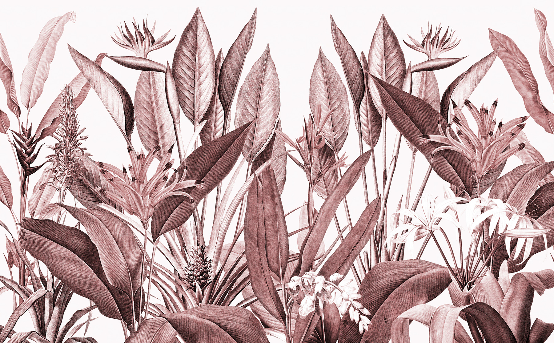 Tropical foliage in subtle hues Tropical foliage in subtle hues