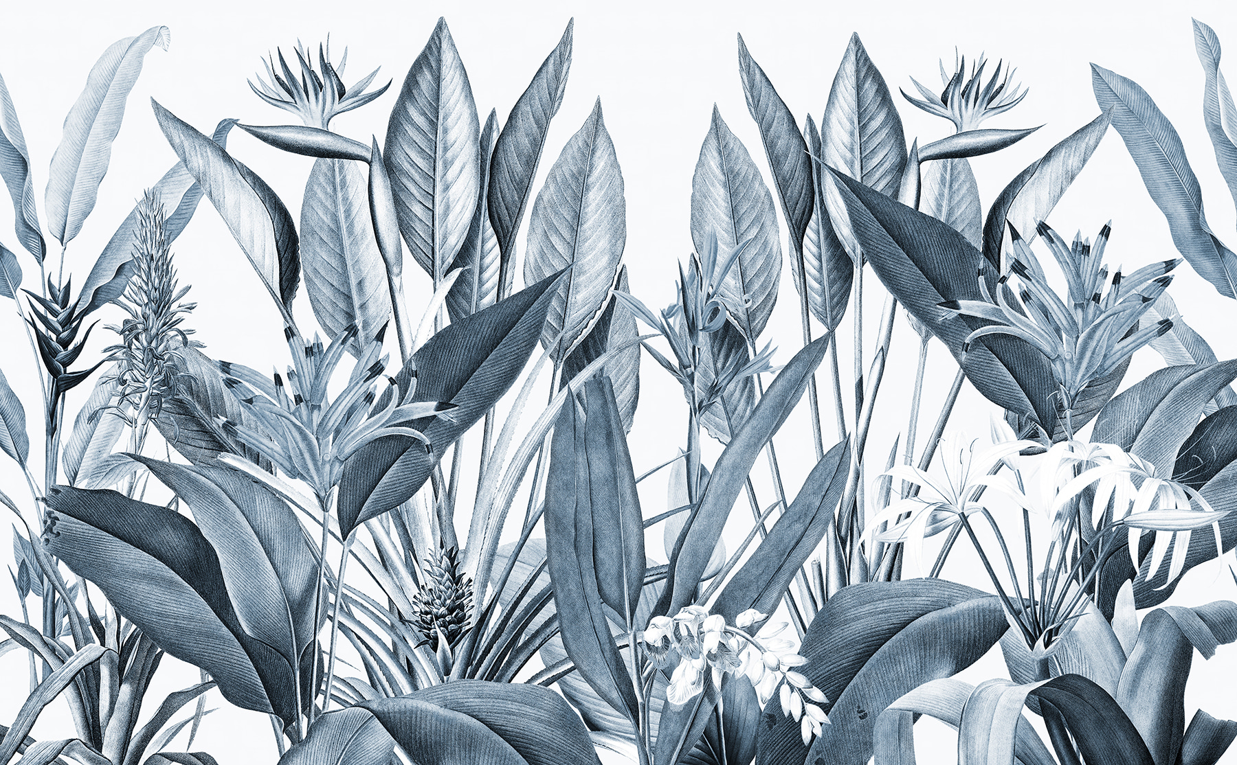 Tropical foliage in monochrome shades Tropical foliage in monochrome shades