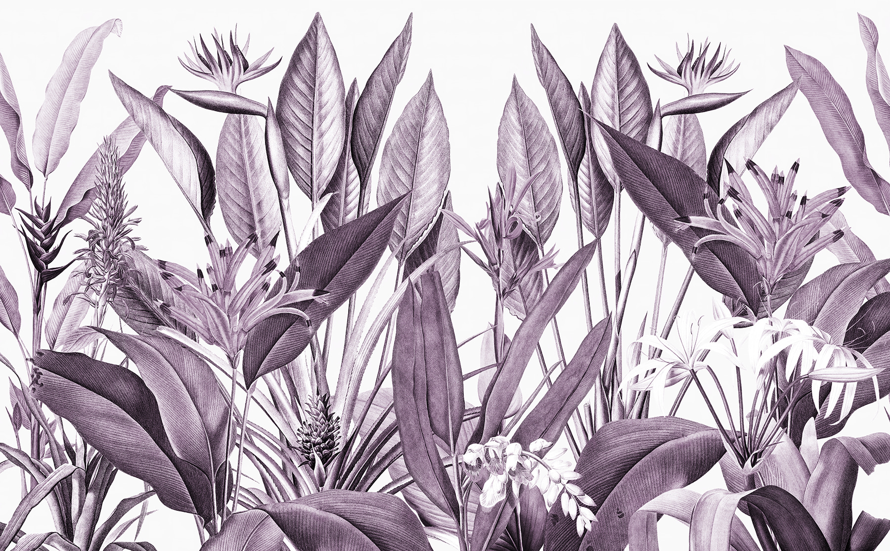 Elegant foliage in muted tones Elegant foliage in muted tones