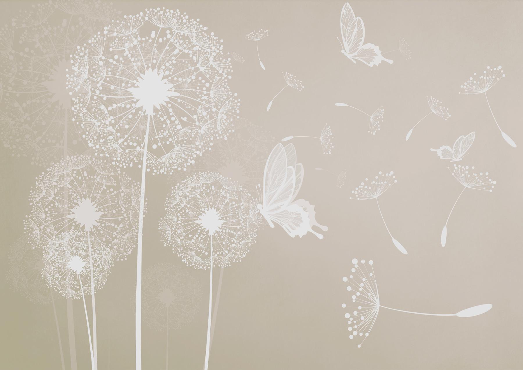 A white dandelions with butterflies flying