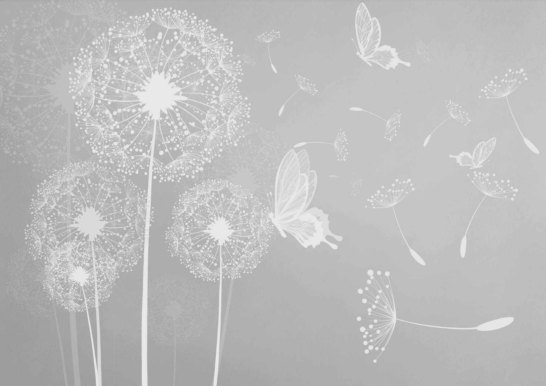 A white dandelions and butterflies