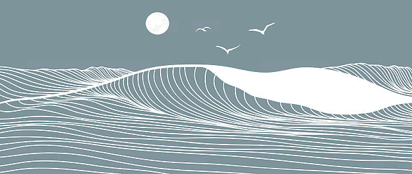 Waves and birds in the sky