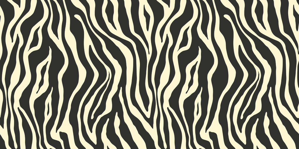 A black and white zebra print A black and white zebra print