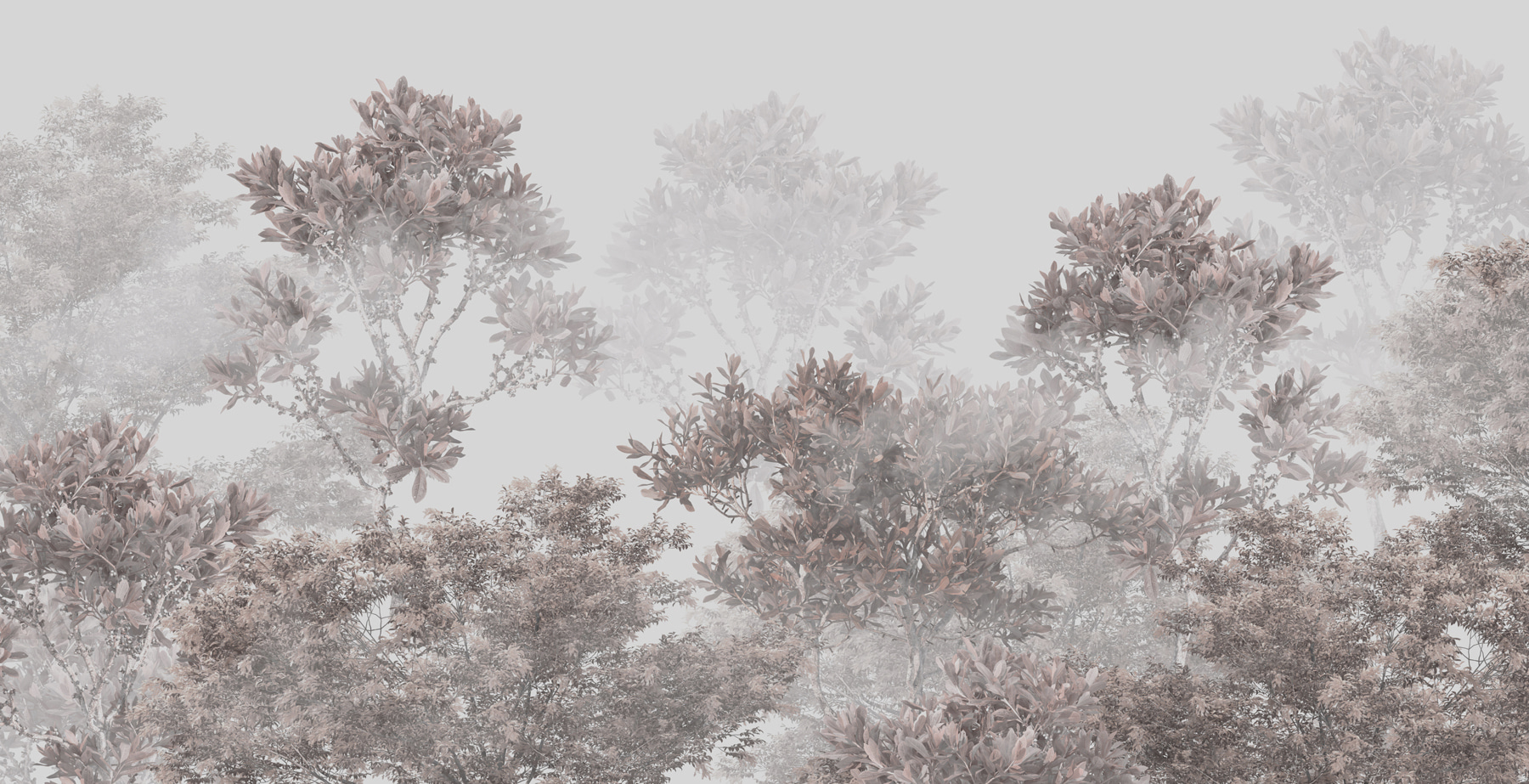 A group of trees with leaves A group of trees with leaves