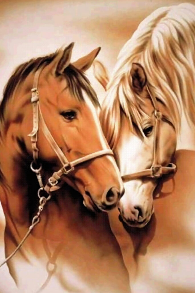 A close up of two horses A close up of two horses