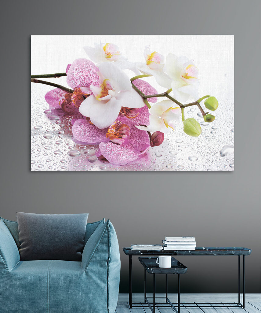 A close up of flowers A close up of flowers