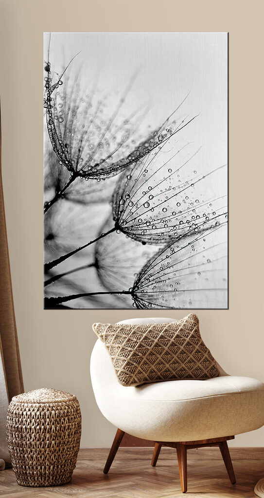 Close up of water droplets on seeds