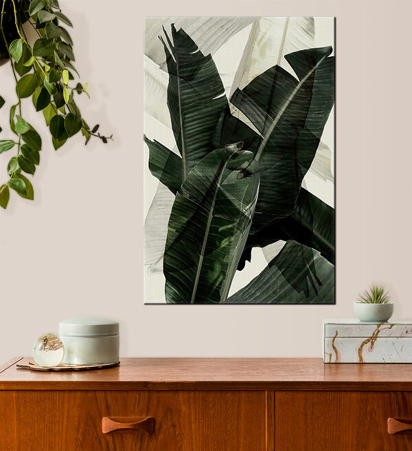 A close up of a plant