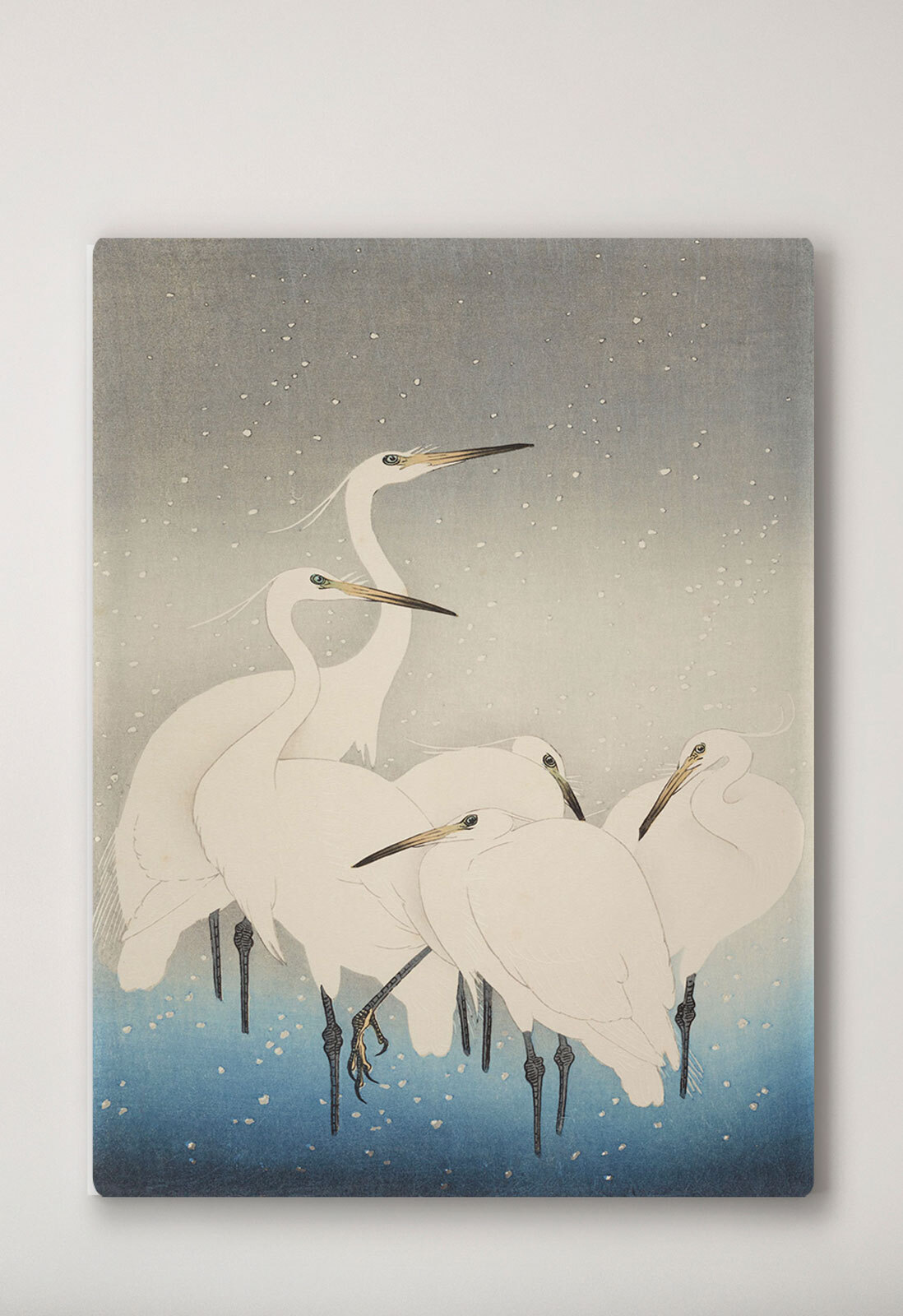 A group of white birds with long beaks A group of white birds with long beaks