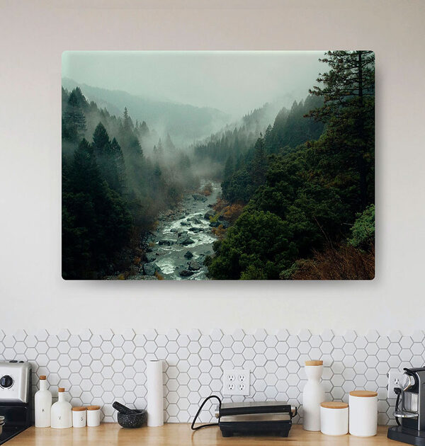 A river running through a forest A river running through a forest
