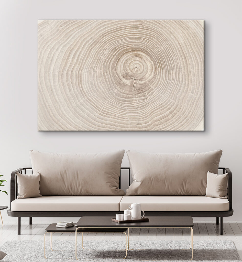 A close up of a tree trunk