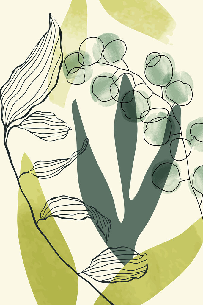 A drawing of a plant A drawing of a plant