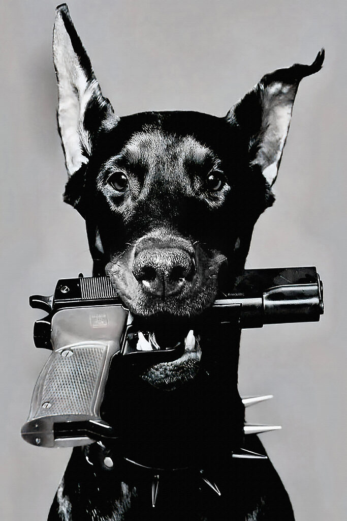 A dog holding a gun A dog holding a gun