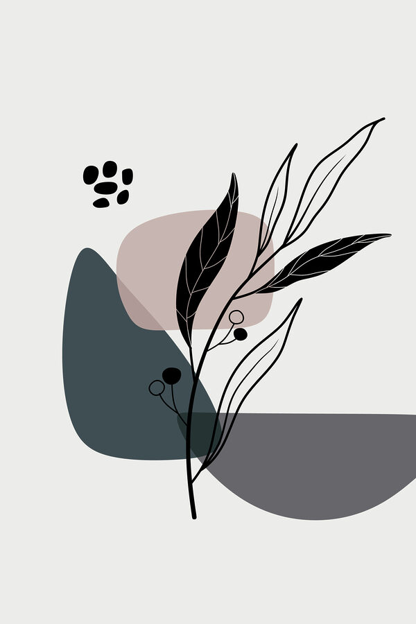 A plant with leaves and dots