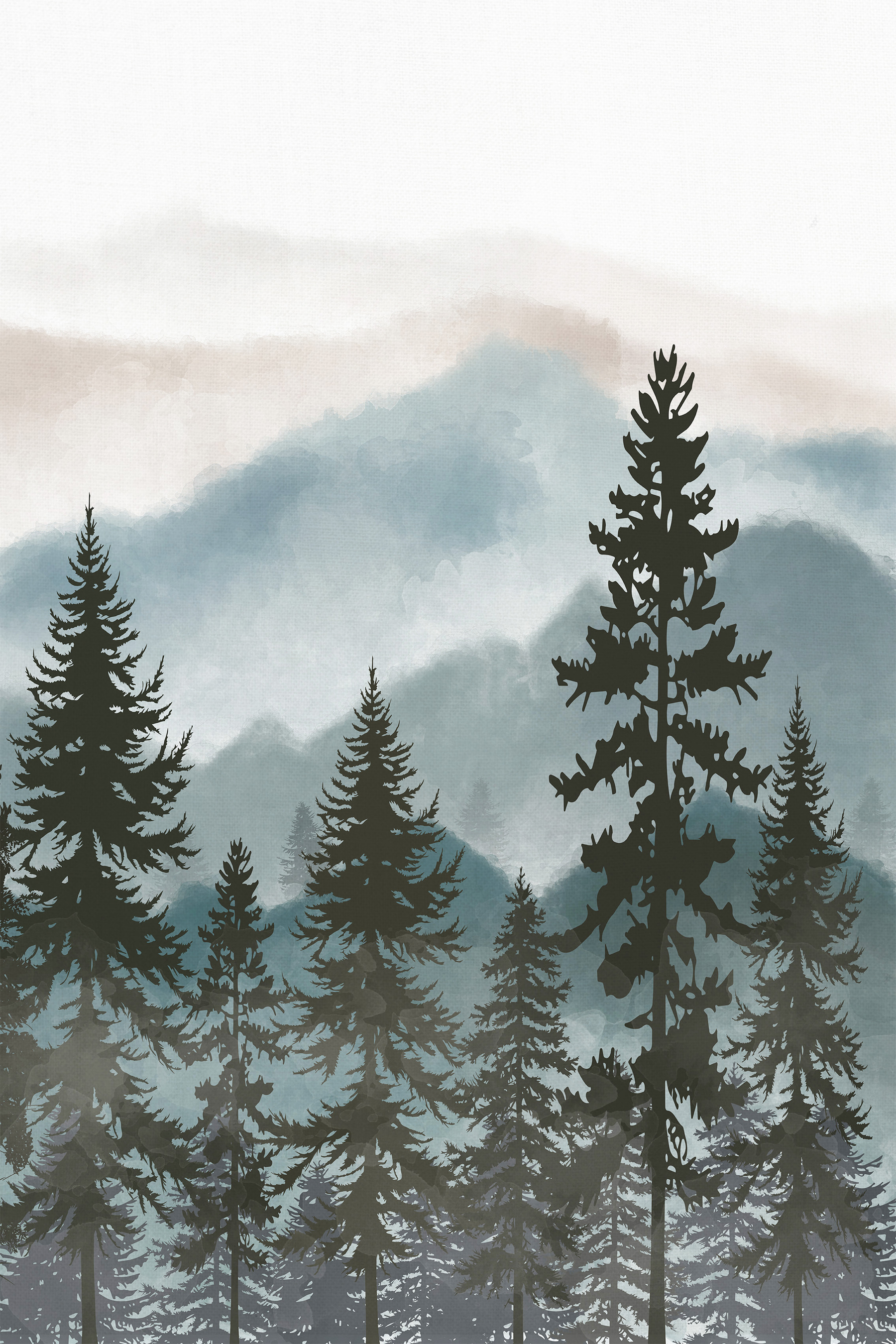 A group of trees in a forest A group of trees in a forest