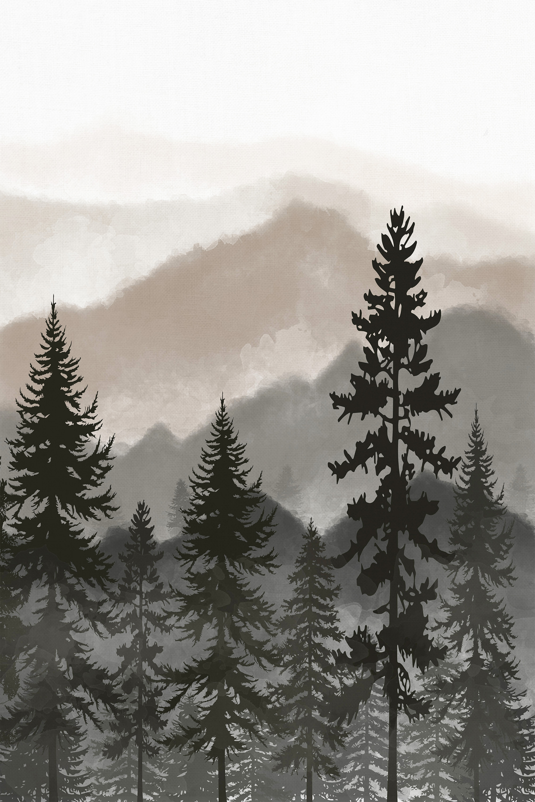 A group of trees in a forest A group of trees in a forest