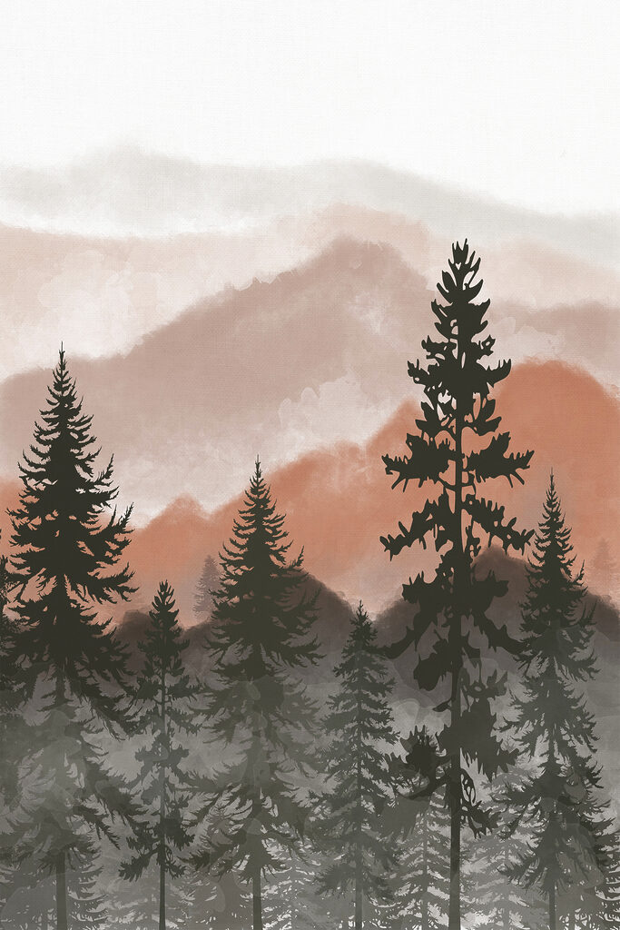 A group of trees in a forest A group of trees in a forest