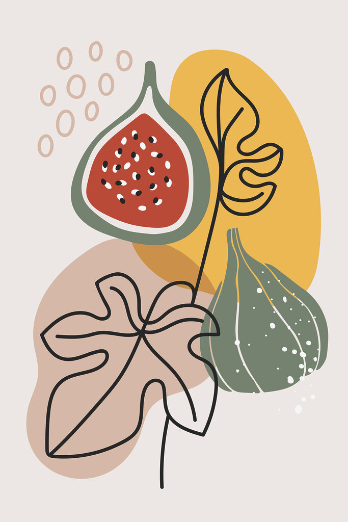 A fruit and leaves on a white background A fruit and leaves on a white background