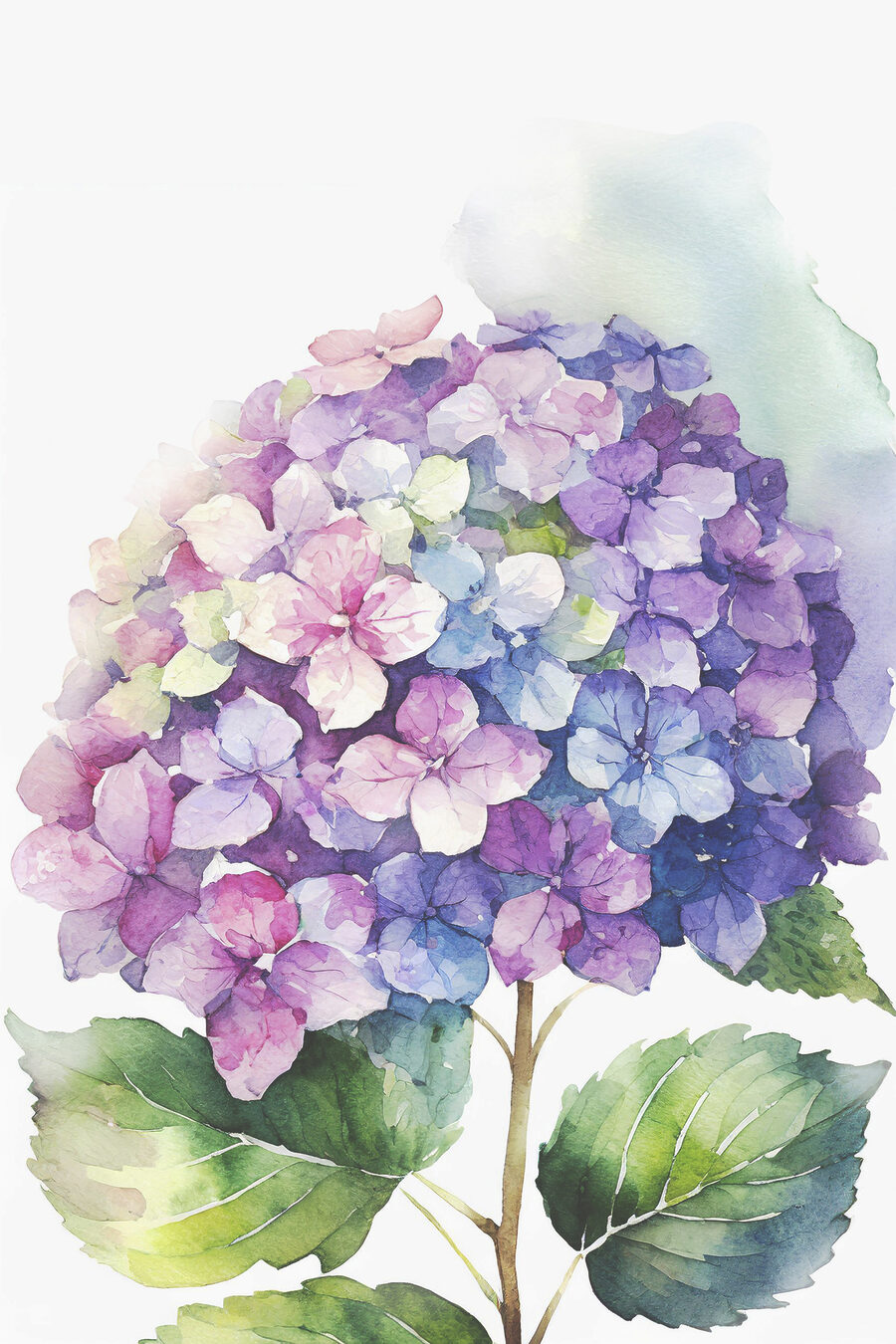 A watercolor of a flower A watercolor of a flower