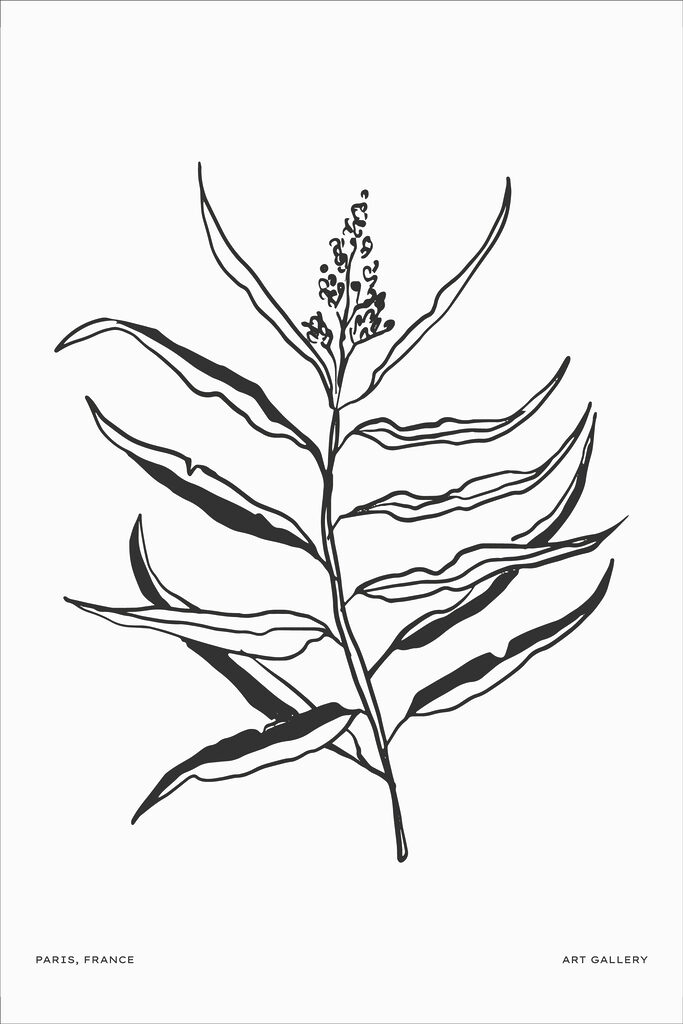 A black and white drawing of a plant A black and white drawing of a plant