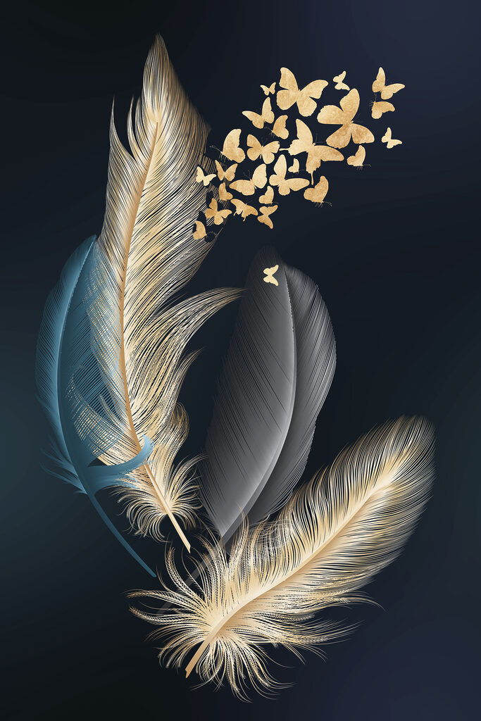 A group of feathers with butterflies A group of feathers with butterflies