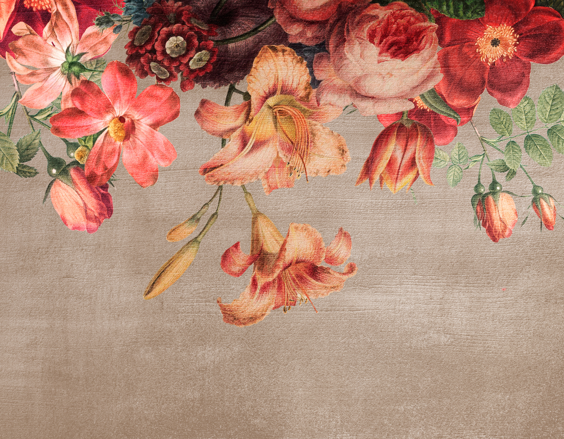 A close up of flowers A close up of flowers