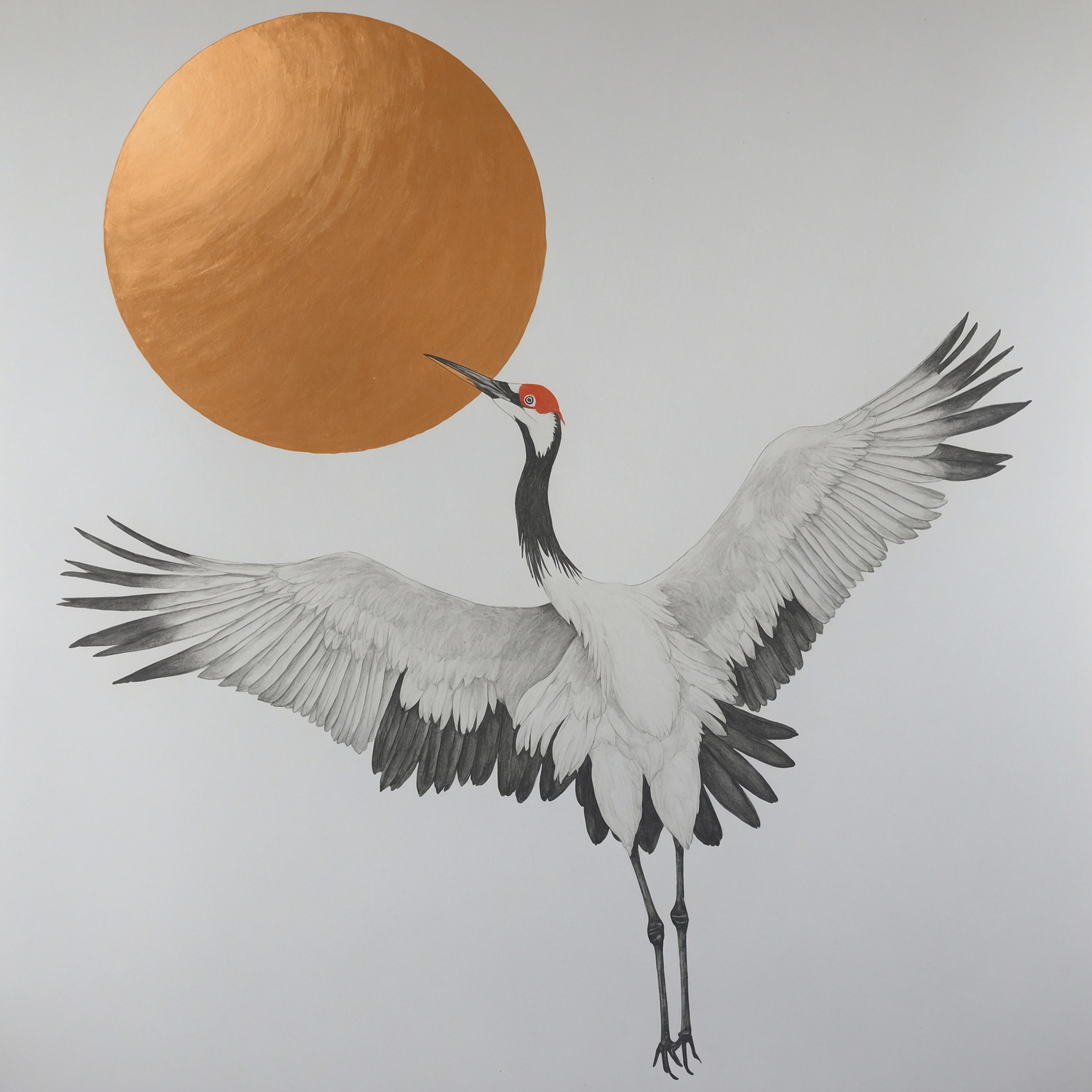 Crane dances under radiant sun