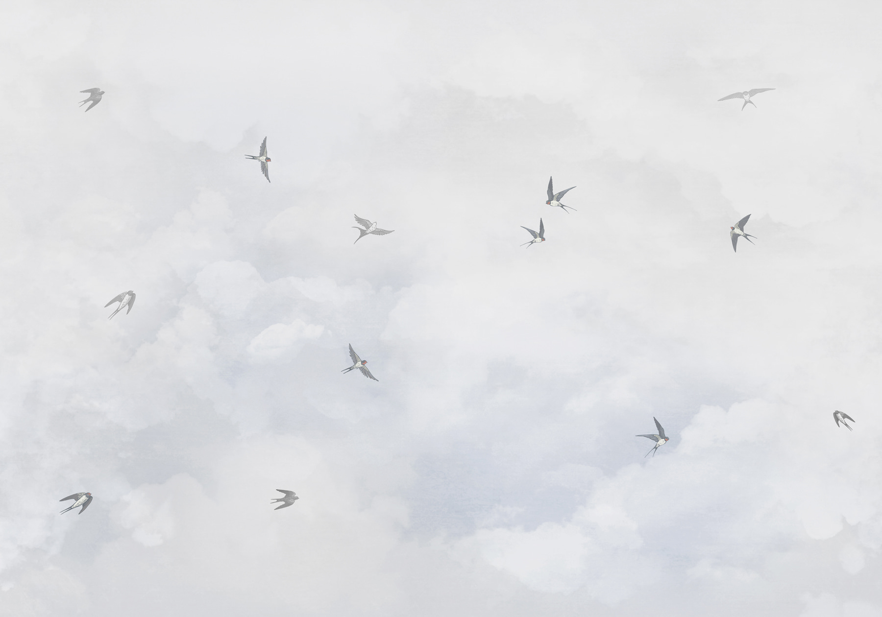 w00526p - Група птахів, що летять у небі - tegory