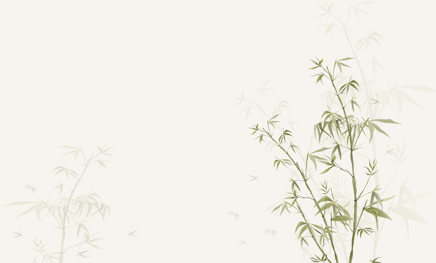 w00546p - Крупним планом рослина - tegory