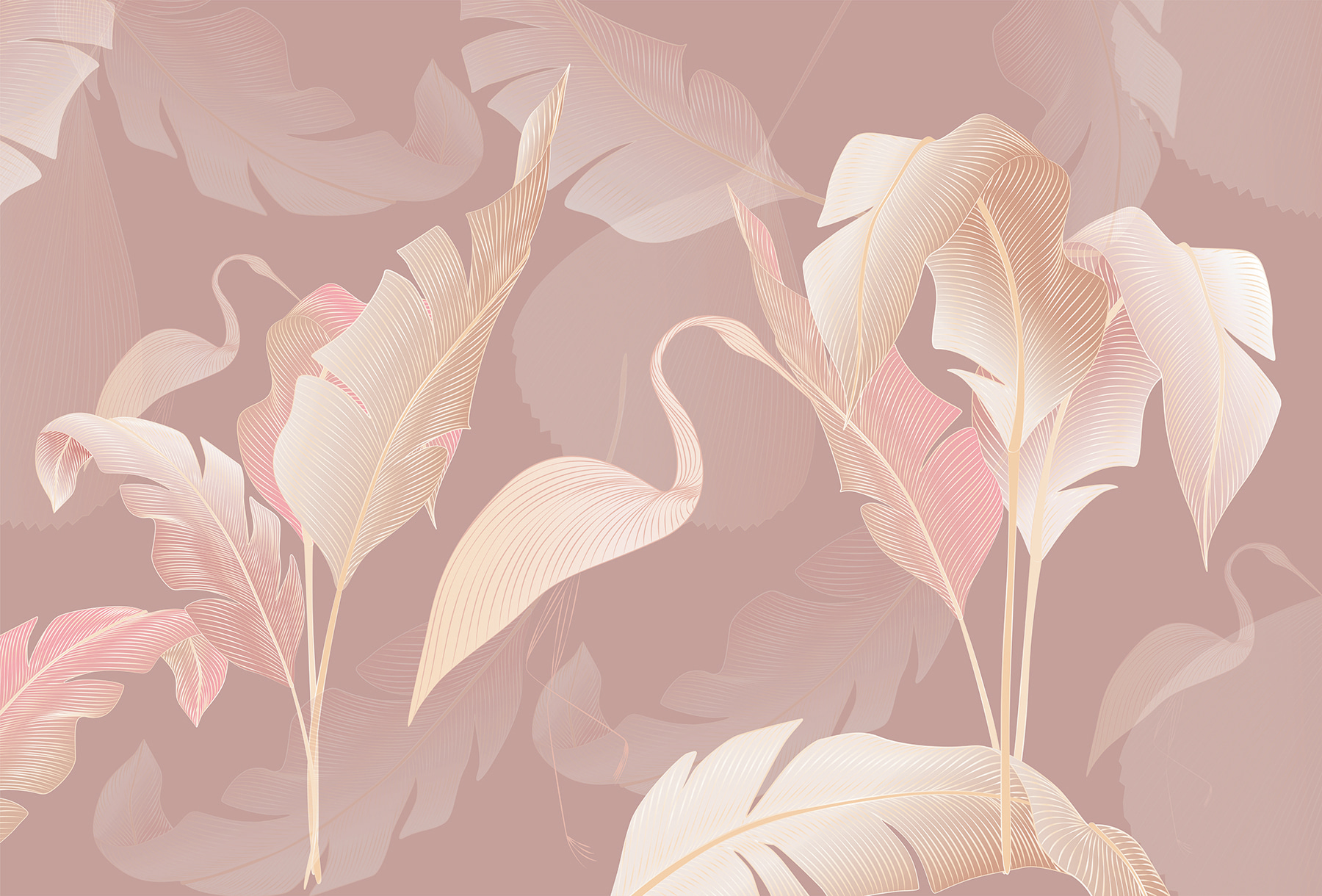 A pattern of feathers on a pink background A pattern of feathers on a pink background