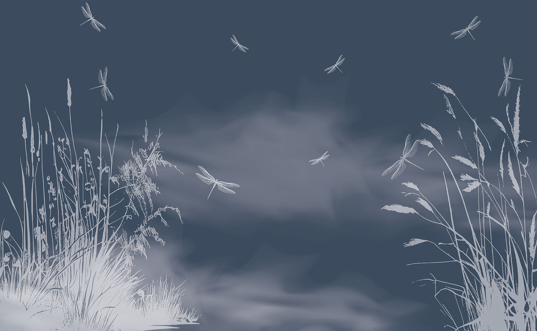 Dragonflies flying in the sky Dragonflies flying in the sky