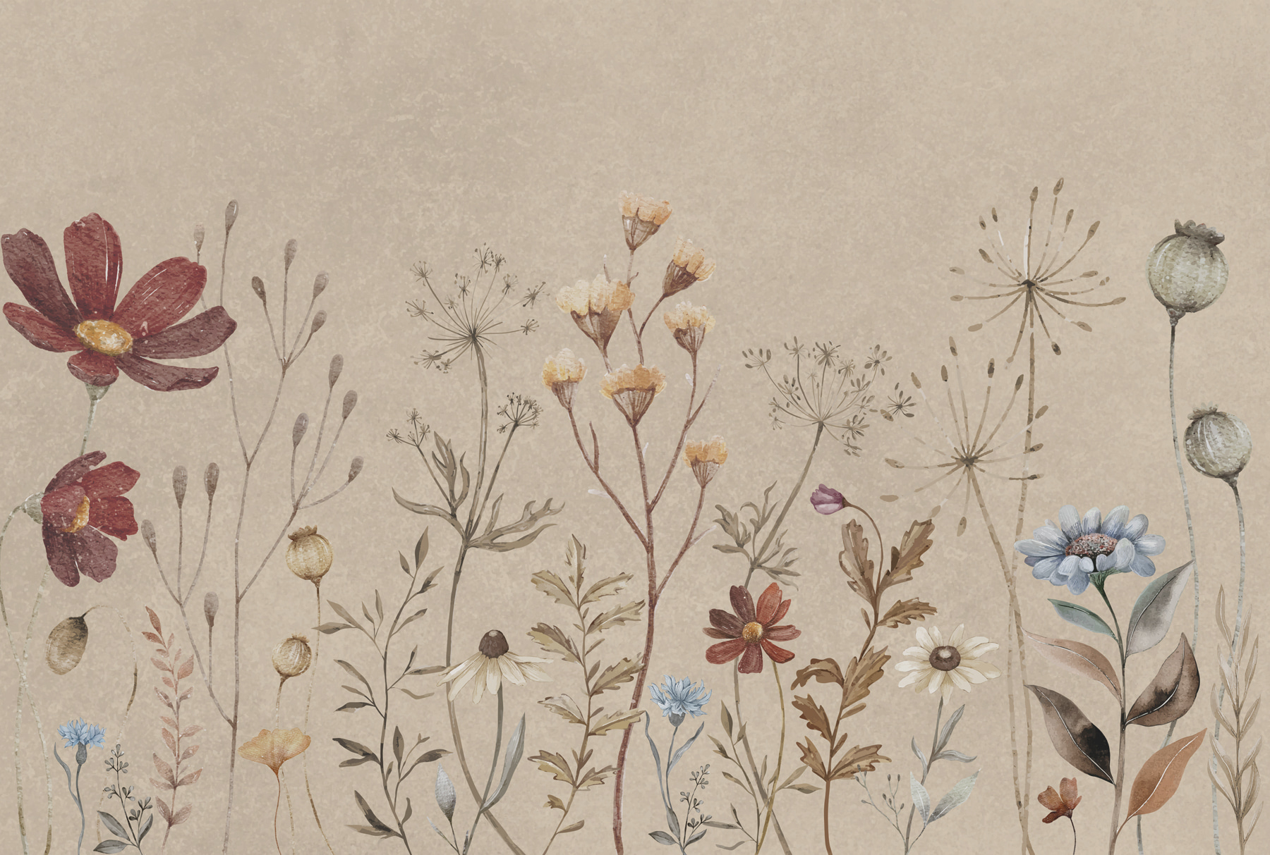 w00580p - Квіти крупним планом - tegory