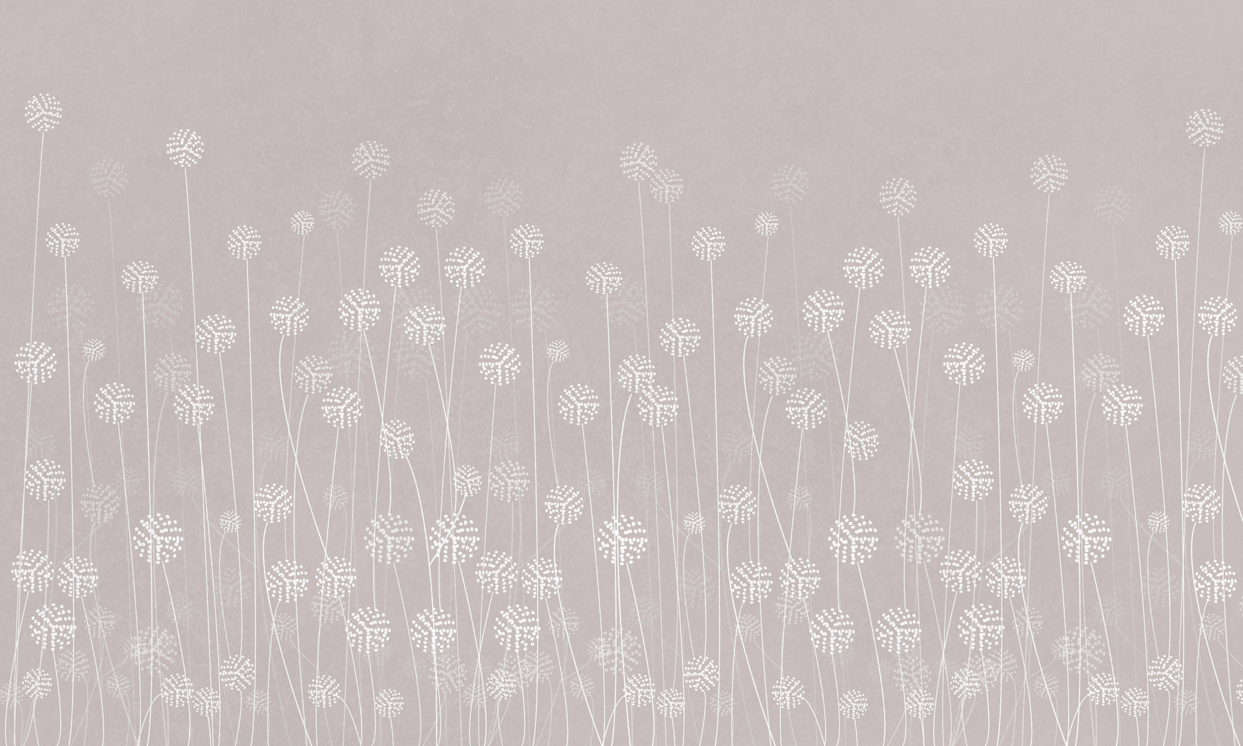 w00613v2p - Білі квіти на сірому тлі - tegory