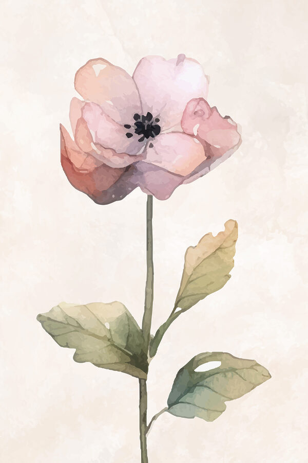 A pink flower with green leaves