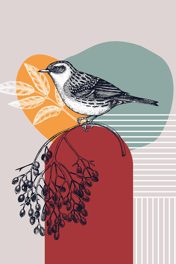 A bird on a branch A bird on a branch