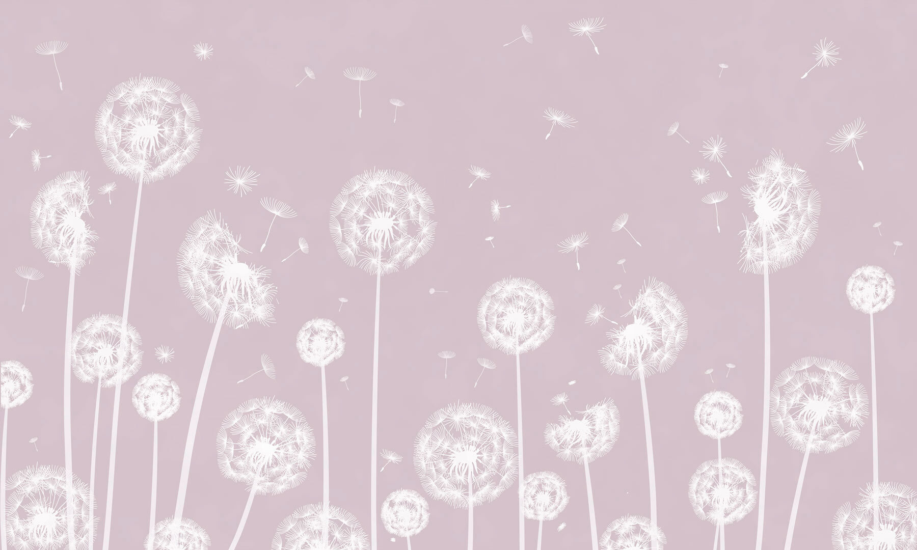 w00657v1p - Білі кульбаби, що літають у повітрі - tegory