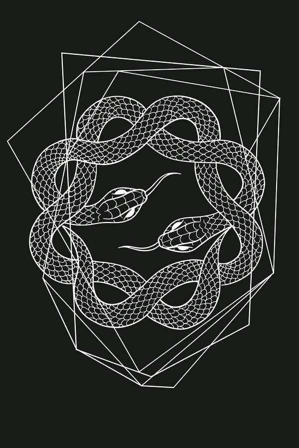 A white snake in a circle A white snake in a circle