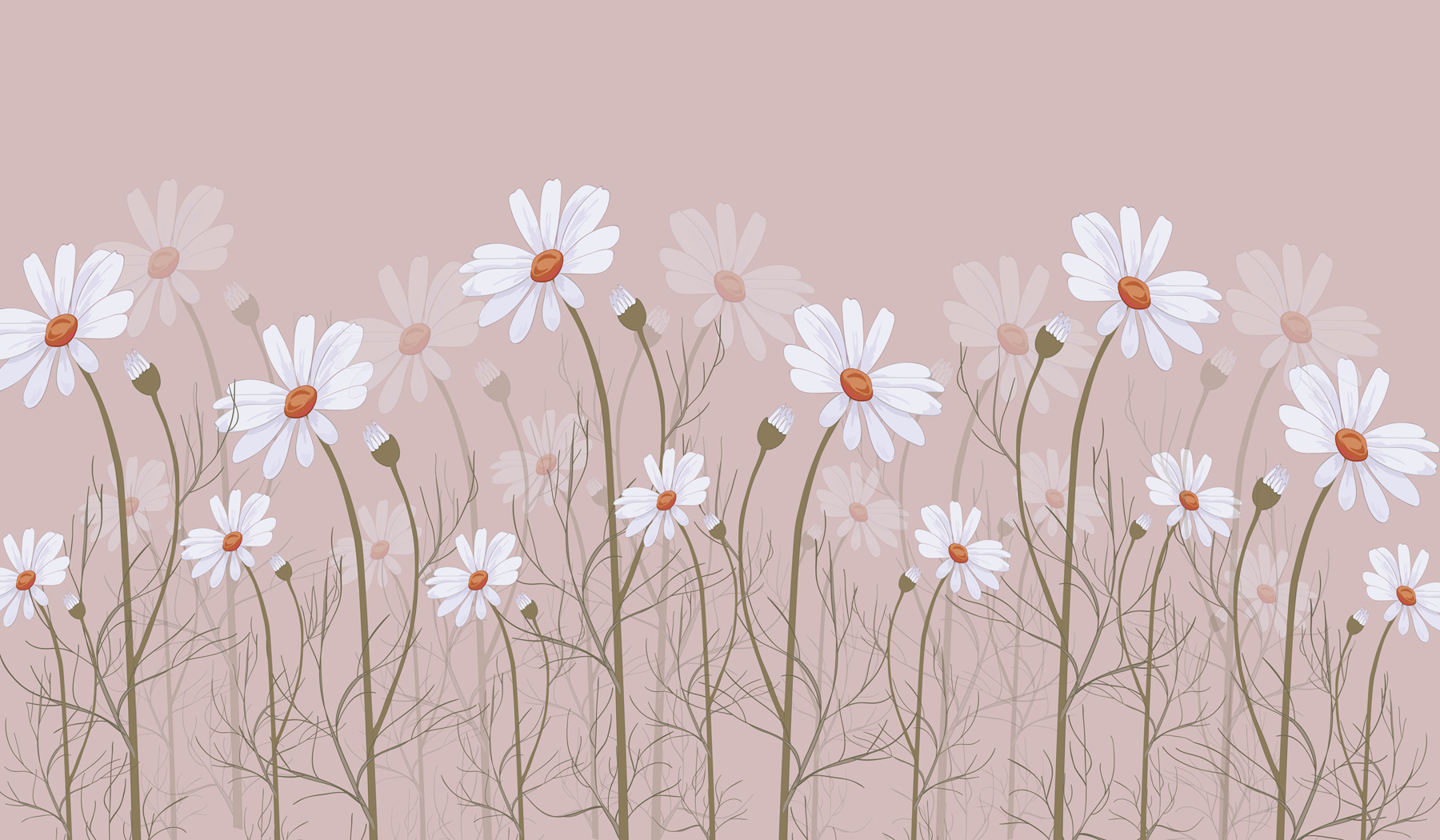 A group of white flowers A group of white flowers