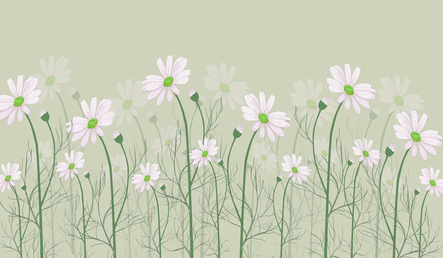 A group of white flowers A group of white flowers