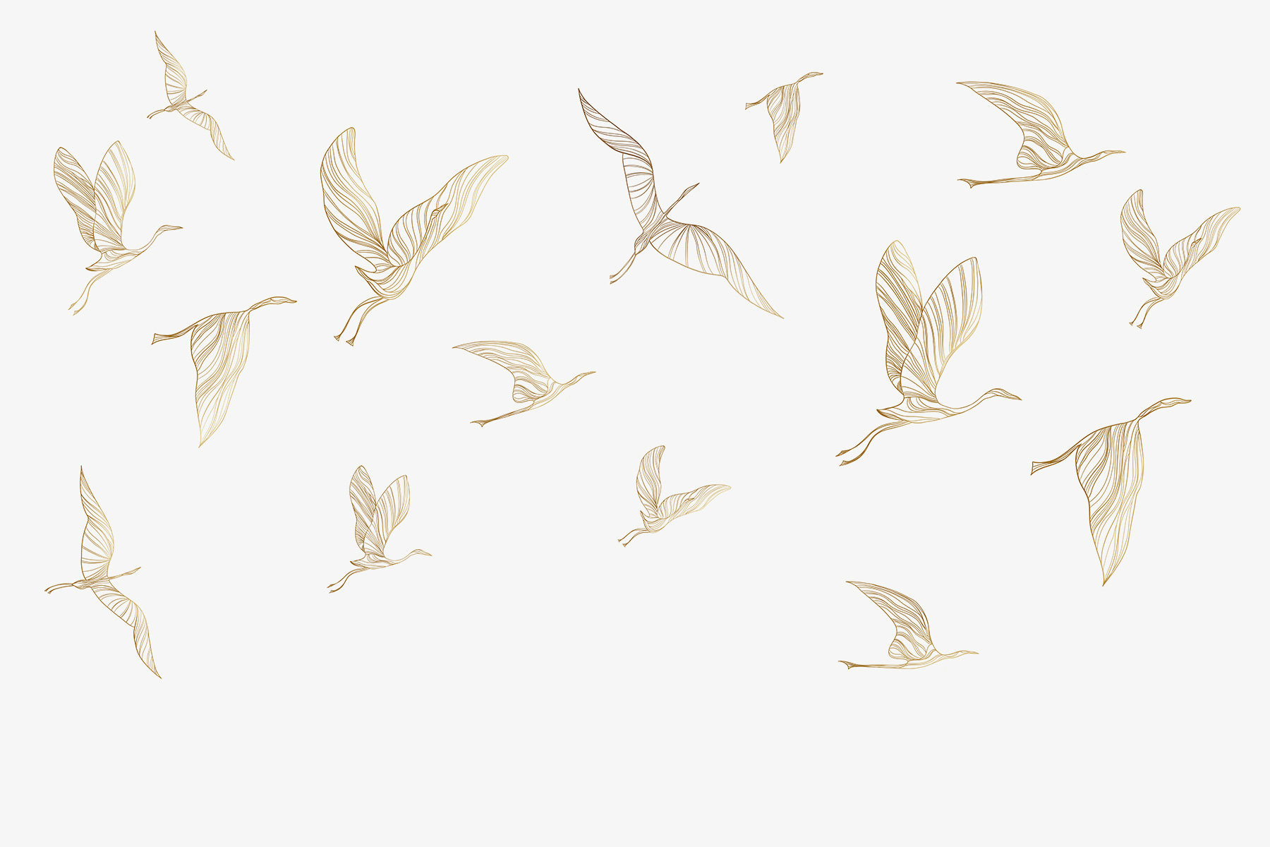 A group of birds flying A group of birds flying