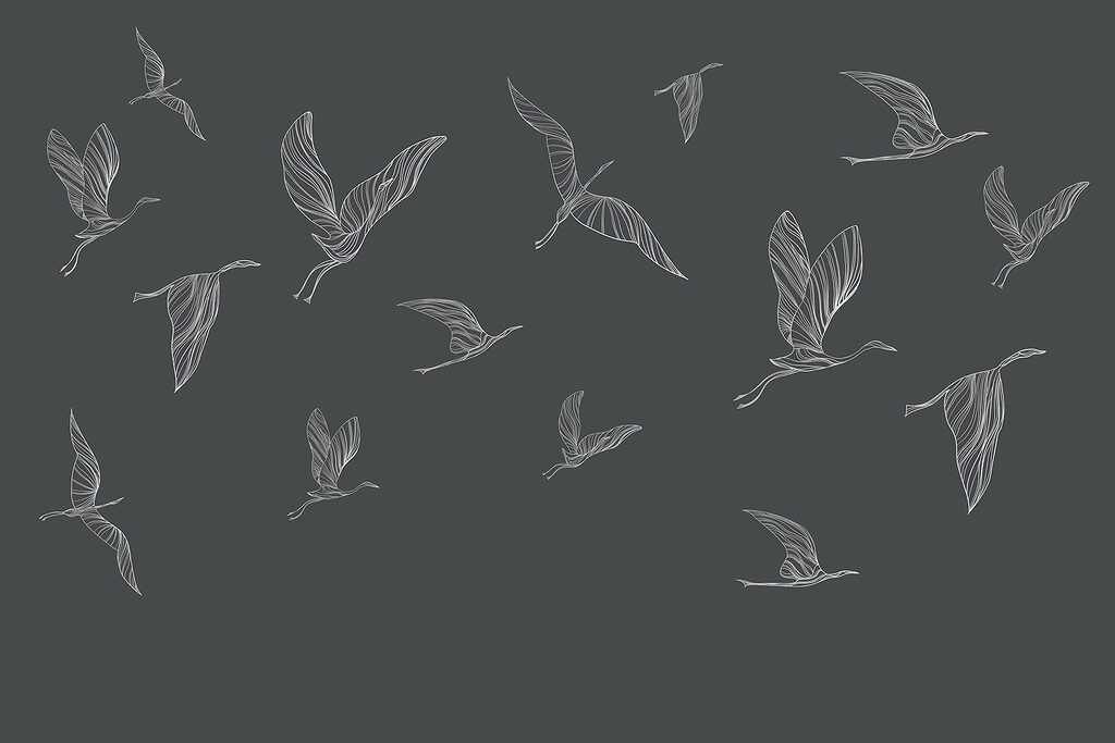 A group of birds flying