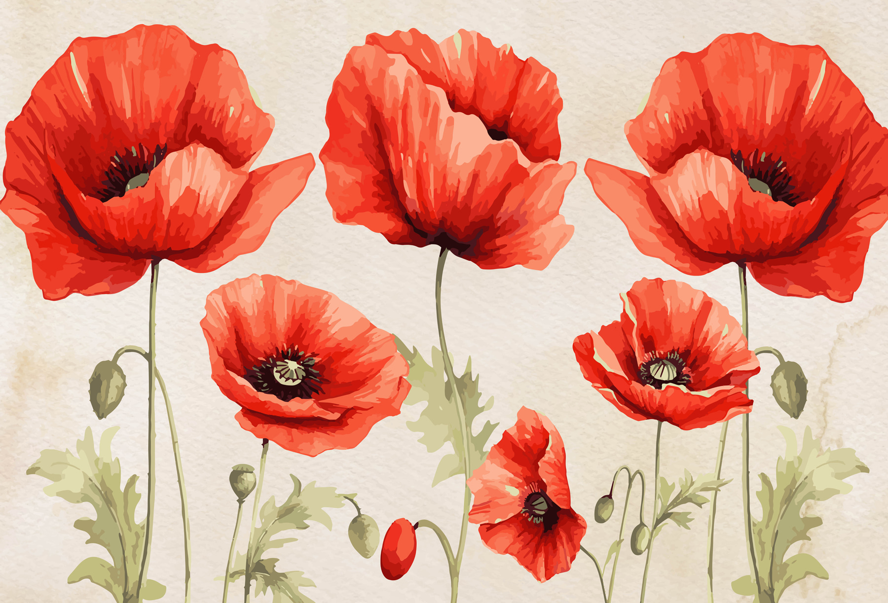 A group of red flowers