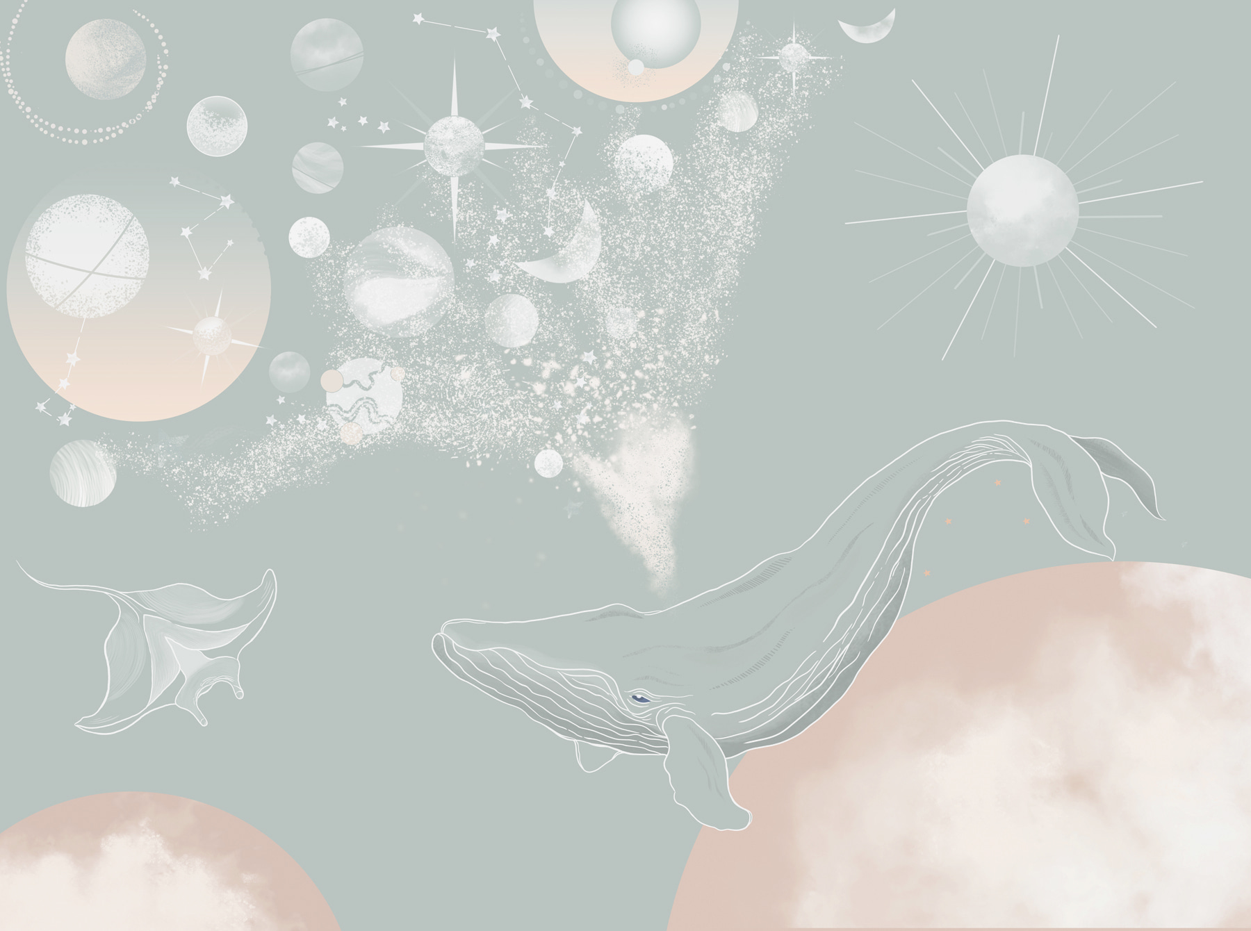 A whale with a cloud of smoke A whale with a cloud of smoke