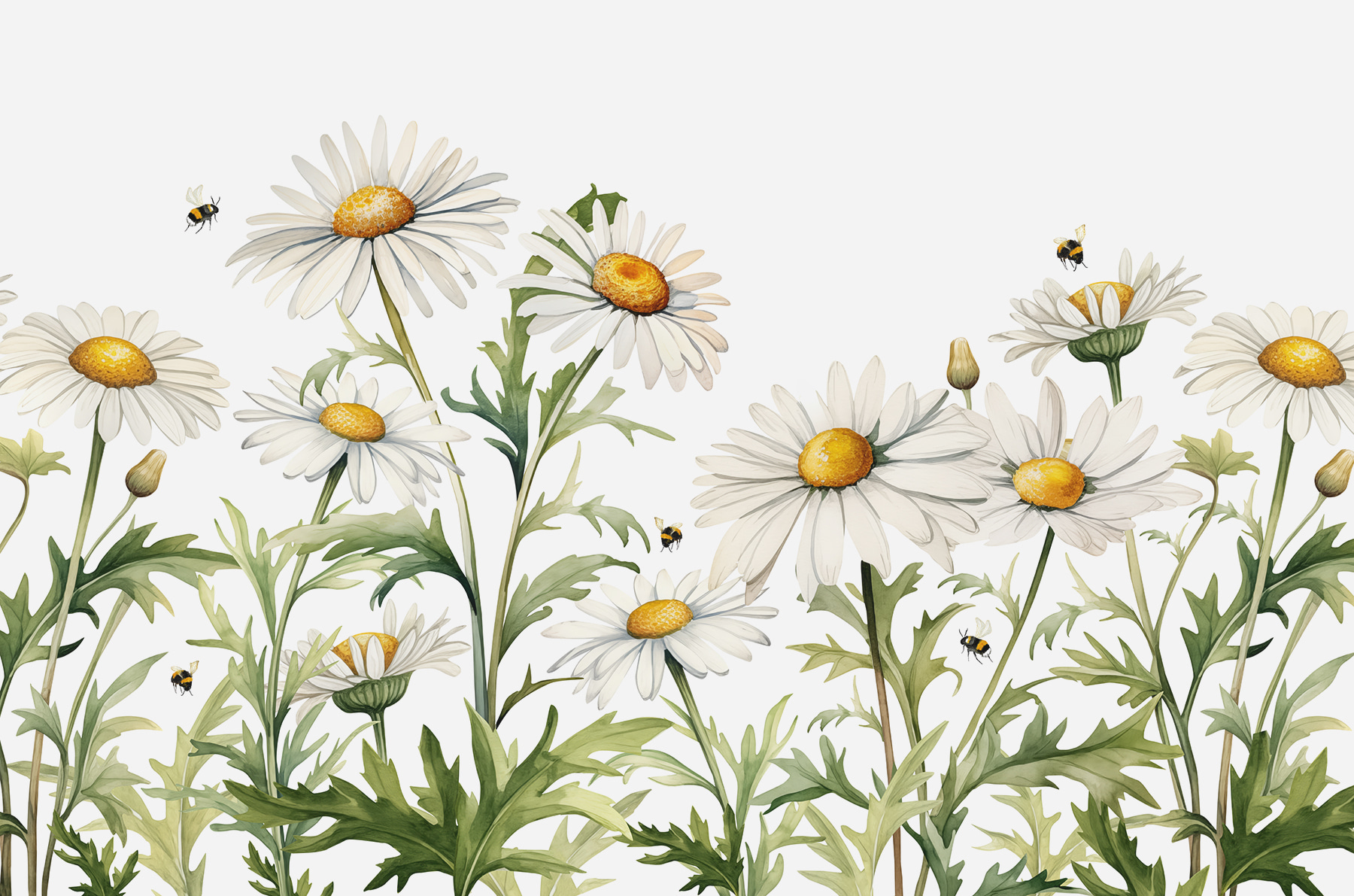 A group of white flowers with yellow centers and green leaves