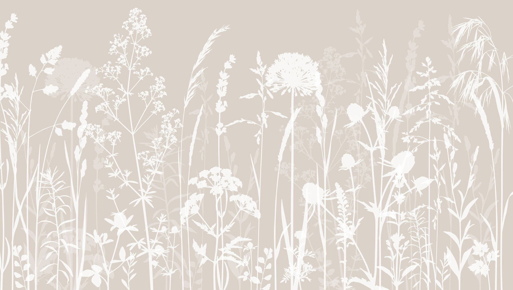 A white silhouettes of flowers